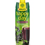 Rauch Happy Day Black Currant | 1 l